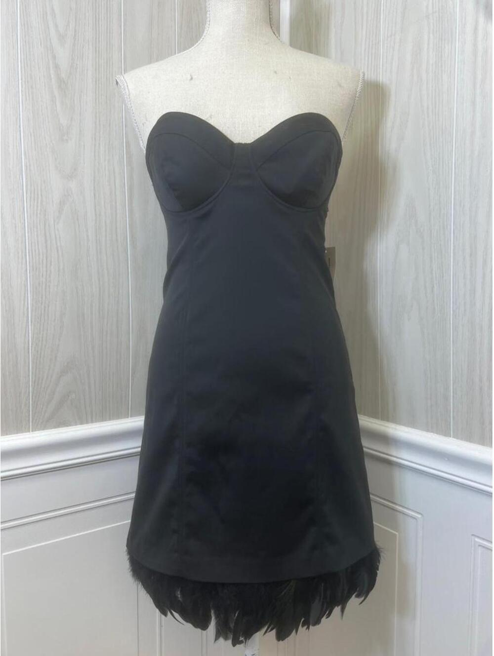 NWT Vintage Guess feathered dress with a corset detail in the back.